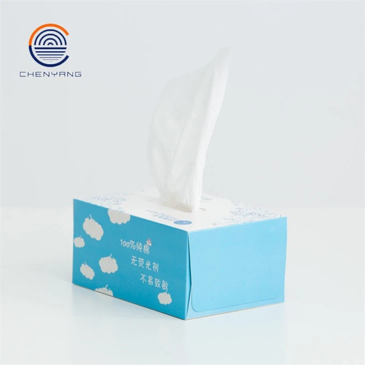 China beauty Wipe factory